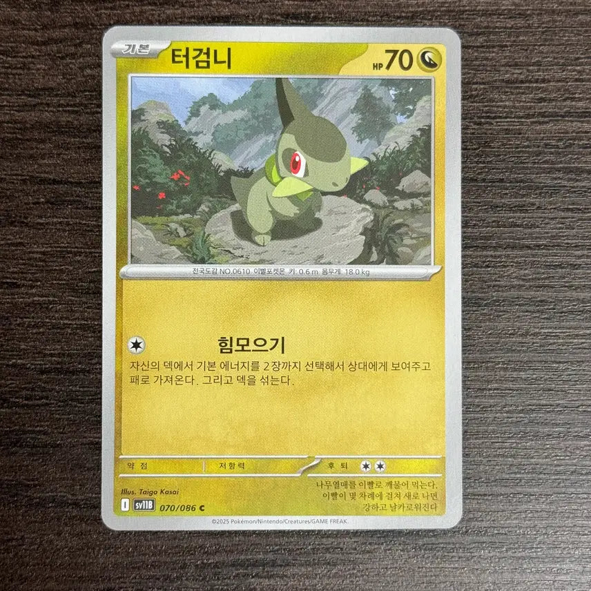 [BUNJANG] Pokemon Terrakion Trading Cards / 포켓몬카드 터검니 판매 2