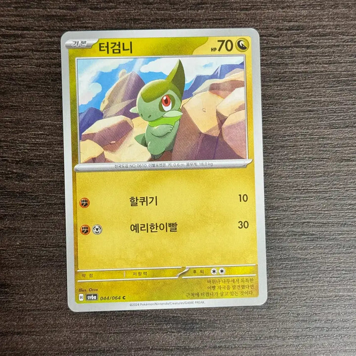 [BUNJANG] Pokemon Terrakion Trading Cards / 포켓몬카드 터검니 판매 2