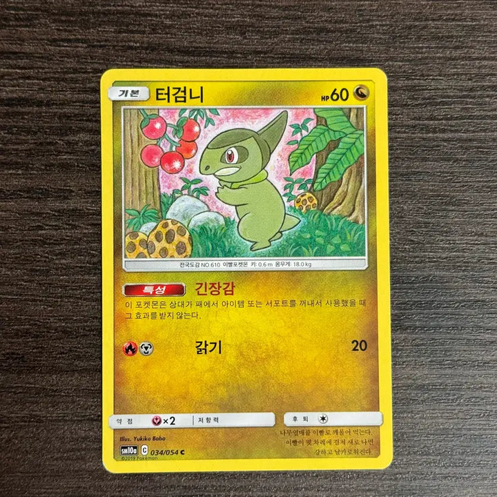 [BUNJANG] Pokemon Terrakion Trading Cards / 포켓몬카드 터검니 판매 3
