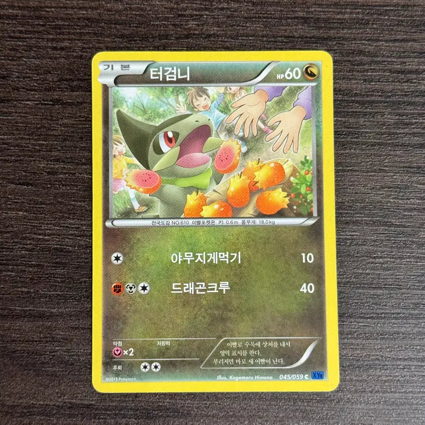 [BUNJANG] Pokemon Terrakion Trading Cards / 포켓몬카드 터검니 판매 3