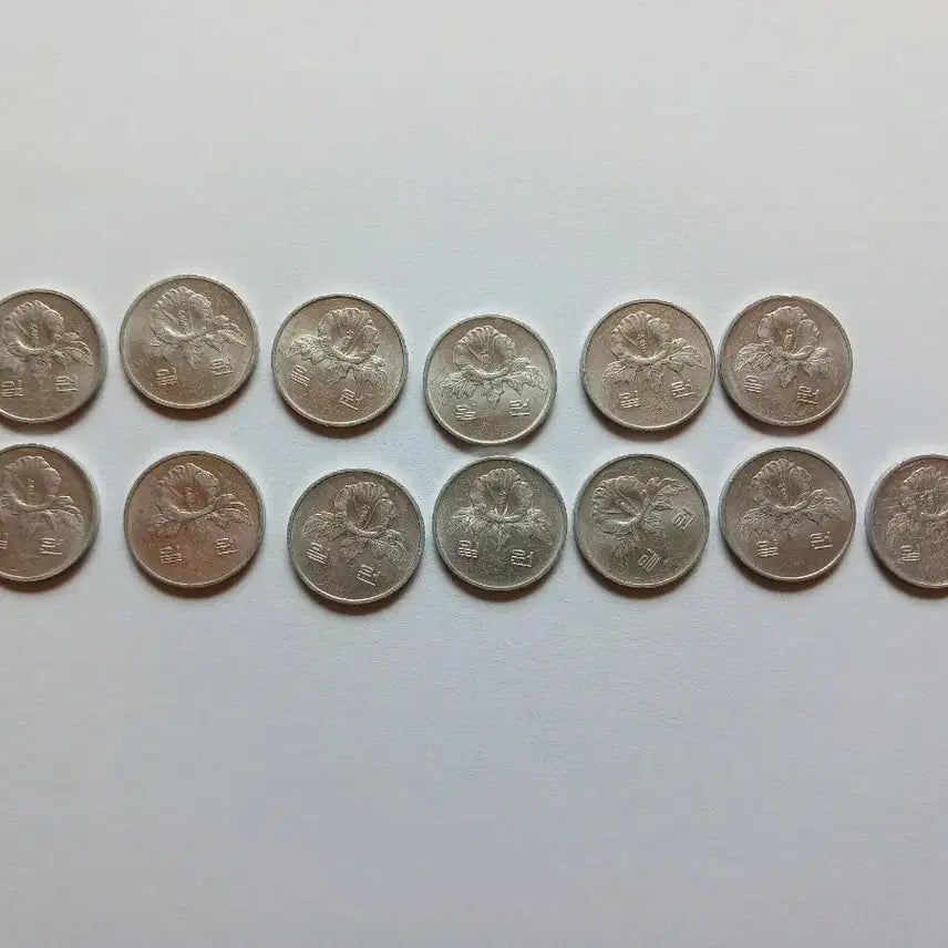 [SOLD OUT] 1984년 1원 동전 13개 일괄