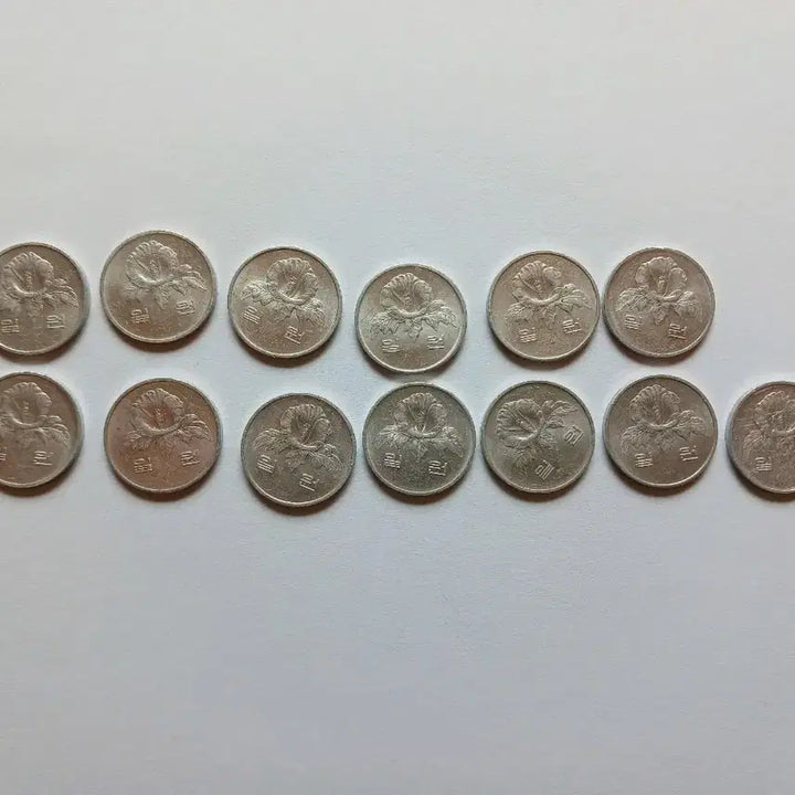 [SOLD OUT] 1984년 1원 동전 13개 일괄