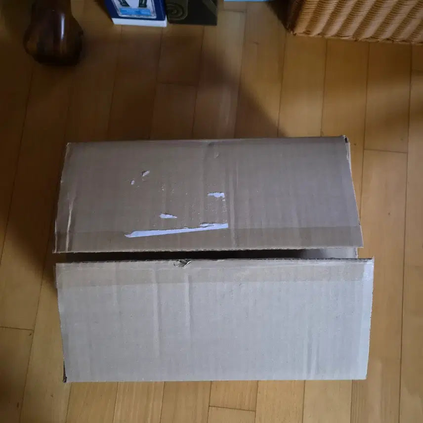 [BUNJANG] Robot Taekwon V Limited Edition Model Kit / 대한항공 아시아나 합병 기념 로보트 태권브이