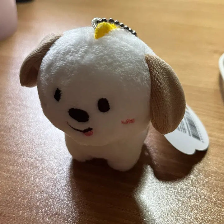 [BUNJANG] Zerobaseone 1st Generation Mungryong 10cm Doll / 1기 멍룡이 10cm