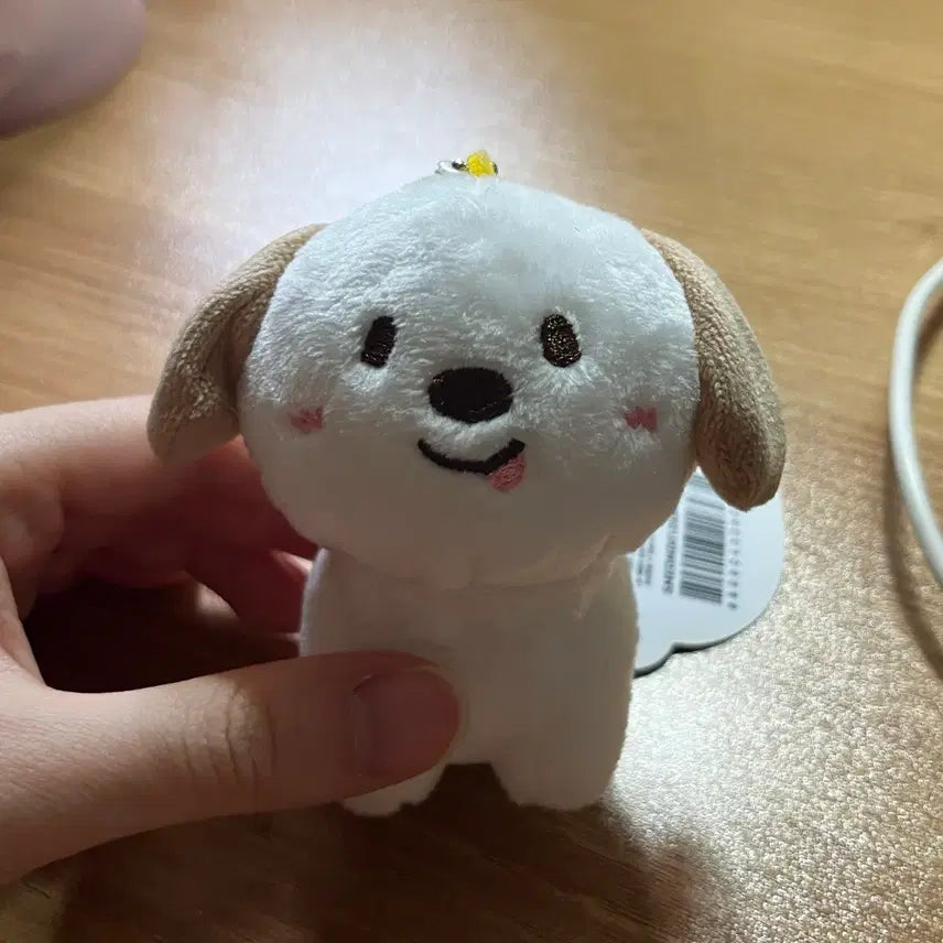[BUNJANG] Zerobaseone 1st Generation Mungryong 10cm Doll / 1기 멍룡이 10cm