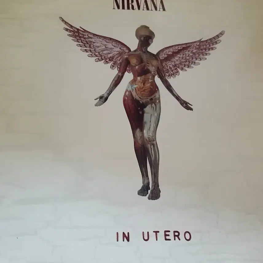 [BUNJANG] Nirvana In Utero Vinyl Record / 너바나 Nirvana - In Utero LP 유럽 초판 팝니다