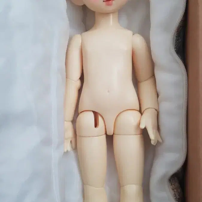 [BUNJANG] ChikaBi Peco Ball-Jointed Doll / 치카비 페코 구체관절인형