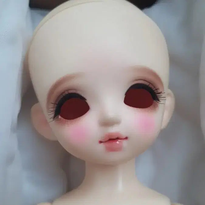 [BUNJANG] ChikaBi Peco Ball-Jointed Doll / 치카비 페코 구체관절인형