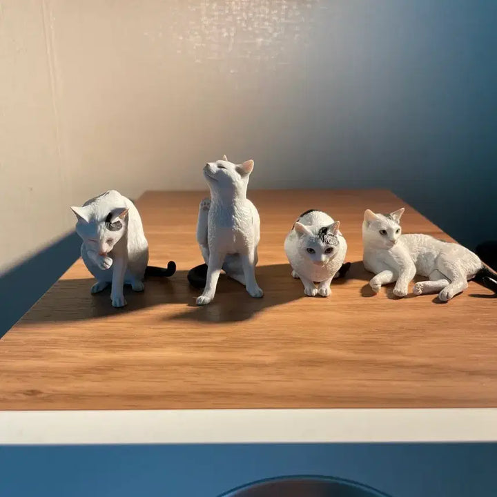 [BUNJANG] Morigucci Cat Figure / 모리구치 고양이