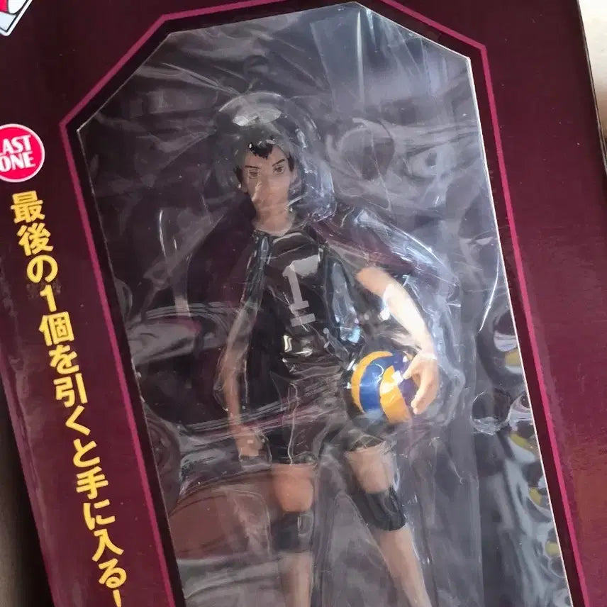 [BUNJANG] Haikyuu!! Strongest Challenger Last One Kita Shinsuke / 하이큐 최강의 도전자 라스트원 키타 키타신스케