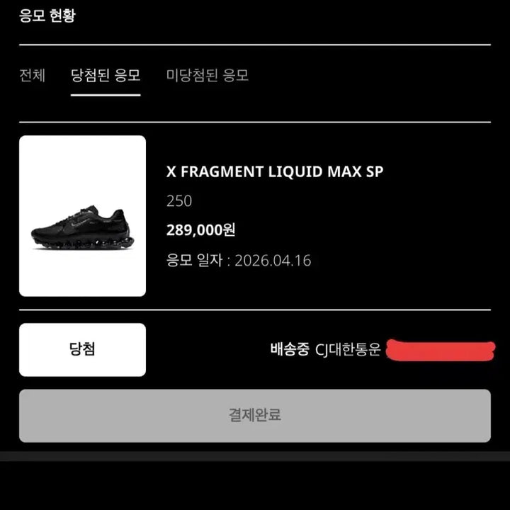 [BUNJANG] Nike Fragment Liquid Max SP Black Sneakers / 나이키x프라그먼트 리퀴드 맥스sp 블랙 250