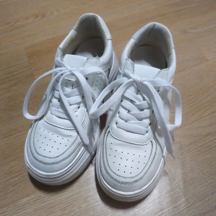[BUNJANG] 8cm Platform Sneakers / 8cm 통굽 운동화 220 / 스탠딩화