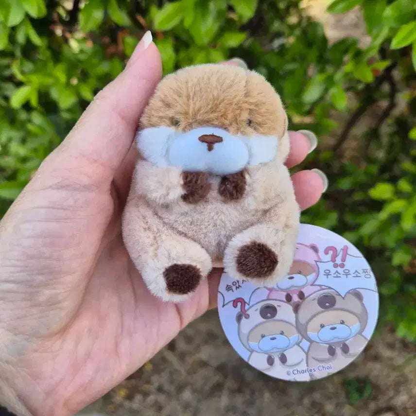 [BUNJANG] Usousou Brown 8cm Plush Keyring / 속았지 우소우소짱 브라운 8cm 인형키링