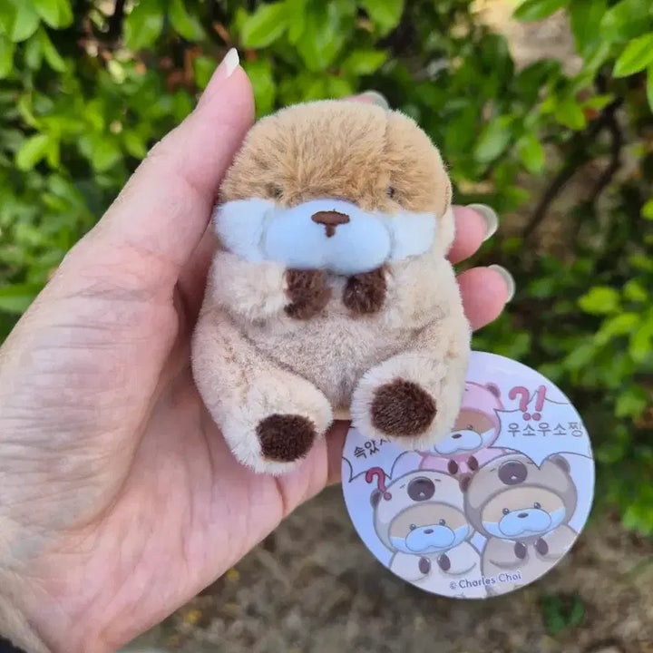 [BUNJANG] Usousou Brown 8cm Plush Keyring / 속았지 우소우소짱 브라운 8cm 인형키링