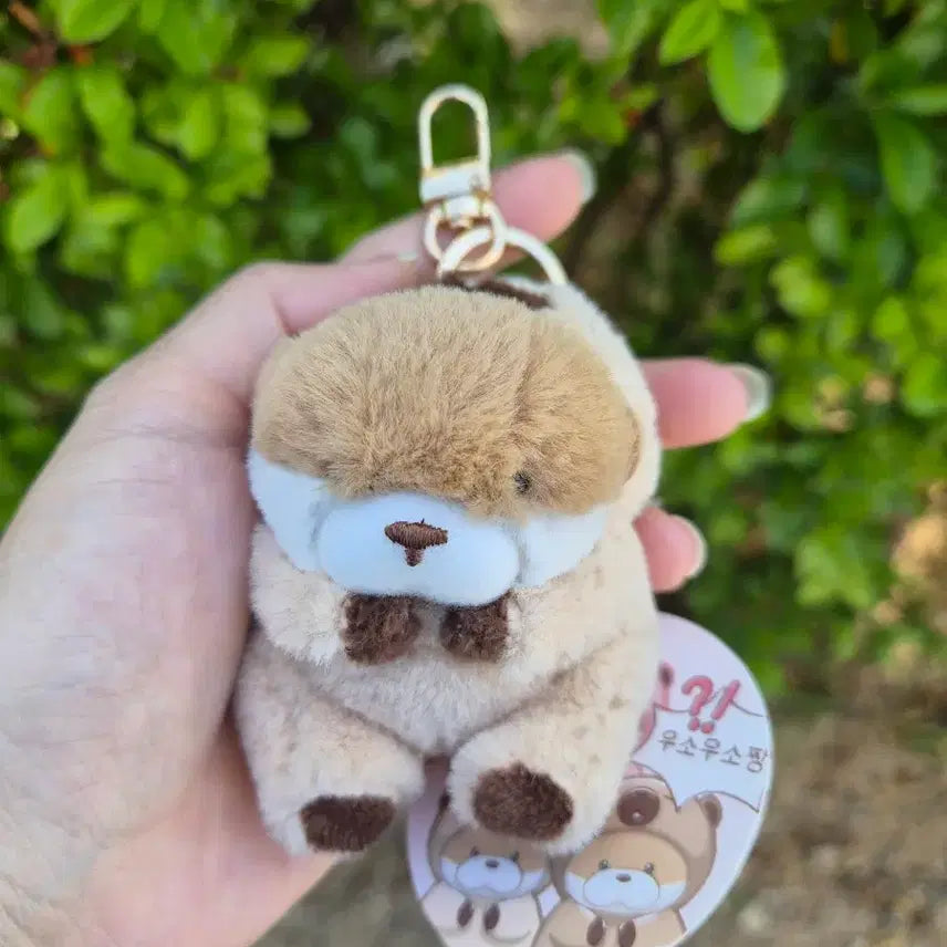 [BUNJANG] Usousou Brown 8cm Plush Keyring / 속았지 우소우소짱 브라운 8cm 인형키링