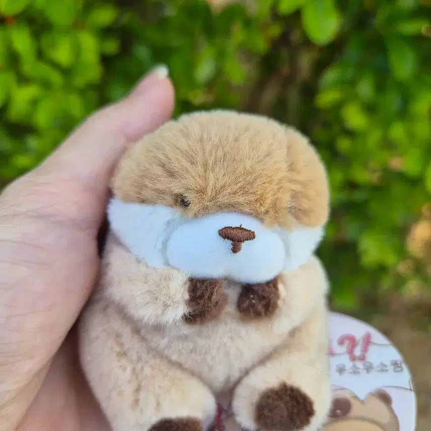 [BUNJANG] Usousou Brown 8cm Plush Keyring / 속았지 우소우소짱 브라운 8cm 인형키링