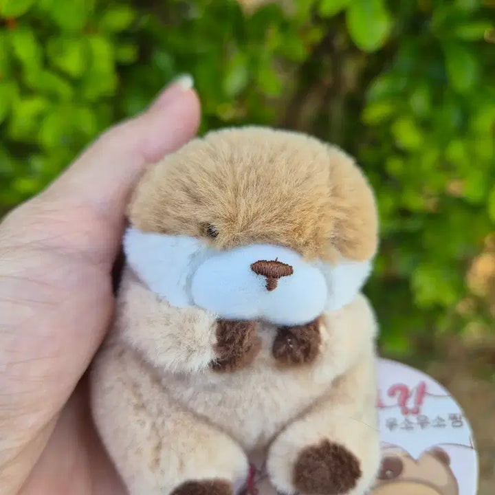 [BUNJANG] Usousou Brown 8cm Plush Keyring / 속았지 우소우소짱 브라운 8cm 인형키링