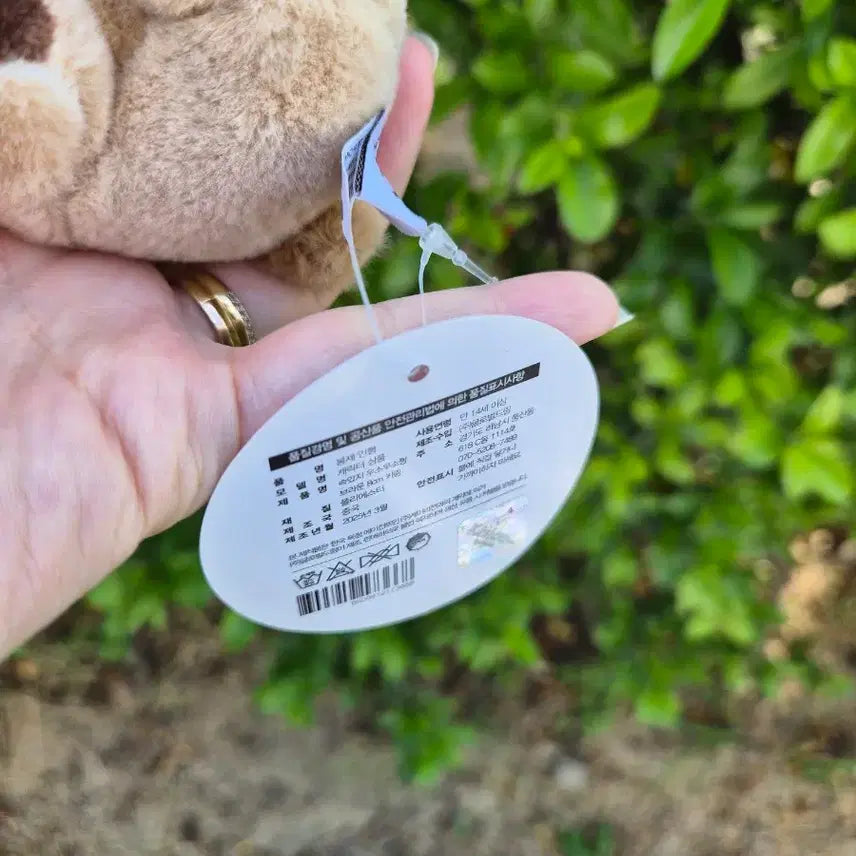 [BUNJANG] Usousou Brown 8cm Plush Keyring / 속았지 우소우소짱 브라운 8cm 인형키링
