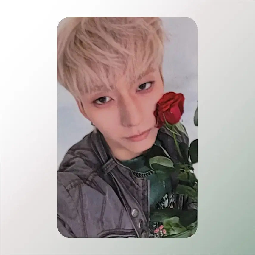 [BUNJANG] Xdinary Heroes DEAD AND BDM POB Photocard / [엑스디너리 히어로즈] DEAD AND / BDM 프리오더 포토카드
