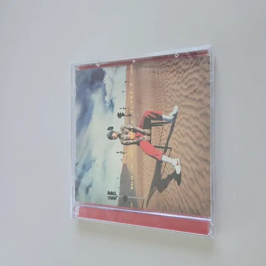 [BUNJANG] DUNMALLIK Cactus Flower Sealed CD / 던말릭 선인장화 미개봉