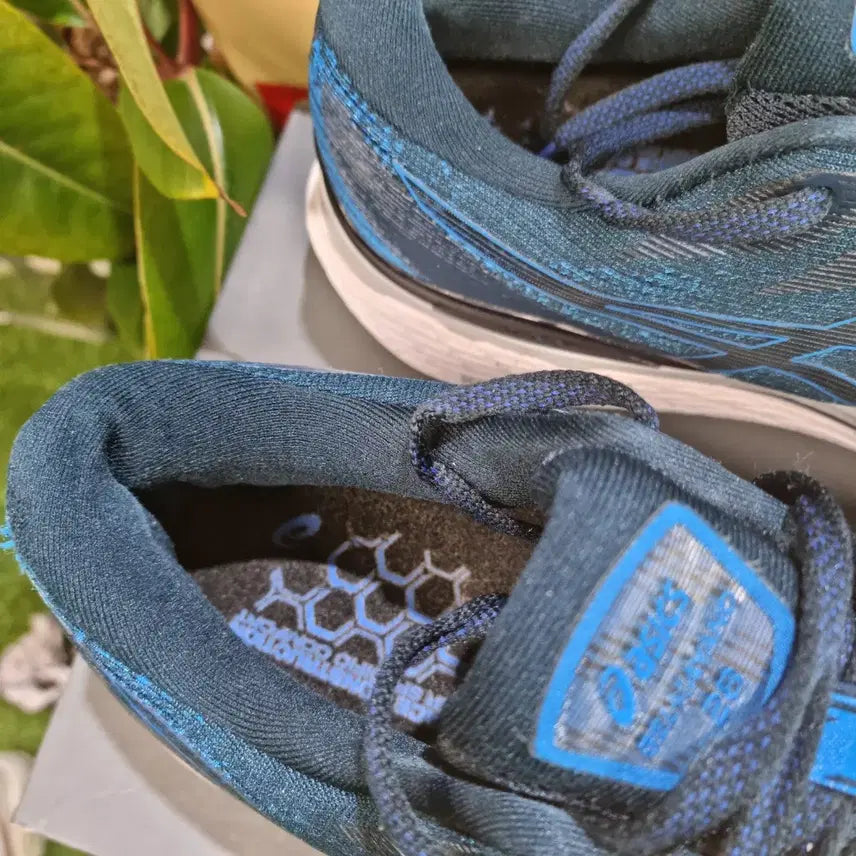 [BUNJANG] ASICS Gel-Kayano Running Shoes (275) / 아식스 젤 카야노 러닝화 (275)
