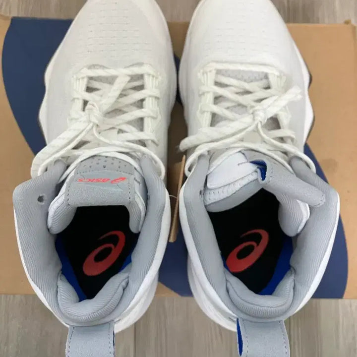 [BUNJANG] Asics Nova Surge Basketball Shoes / 아식스 노바서지 260