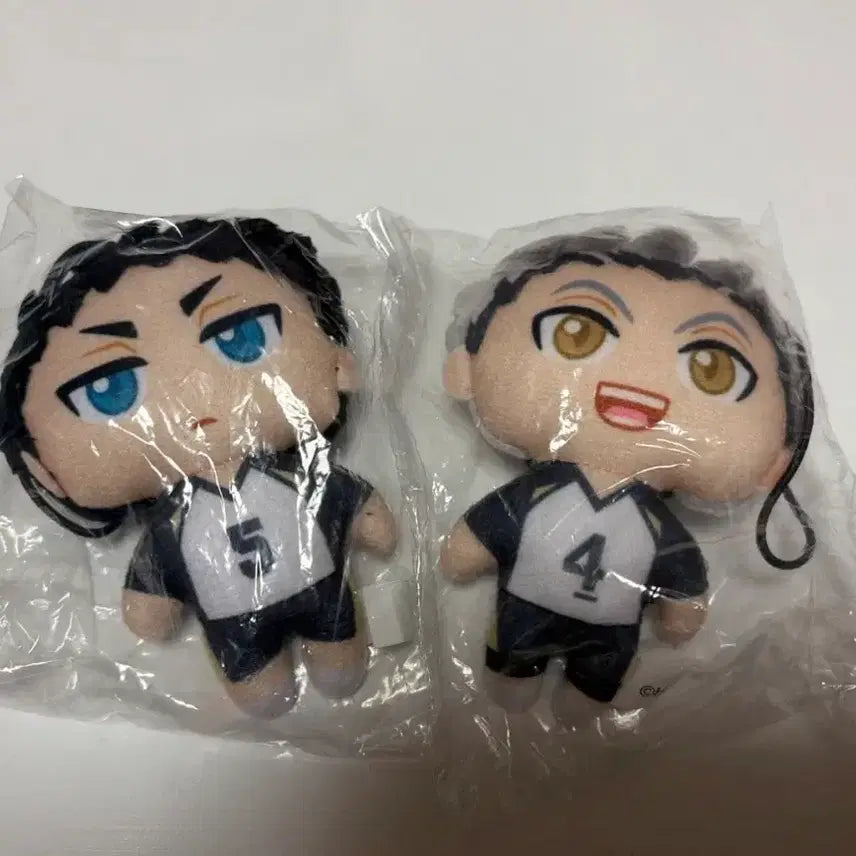 [BUNJANG] Haikyu Bokuto Koutaro Akaashi Keiji Plush Doll / 하이큐 보쿠토 아카아시 인형