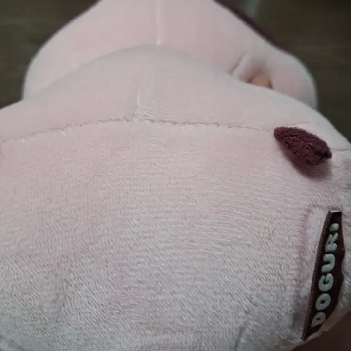 [BUNJANG] Doruguri Doll / 도구리 인형 팝니다.