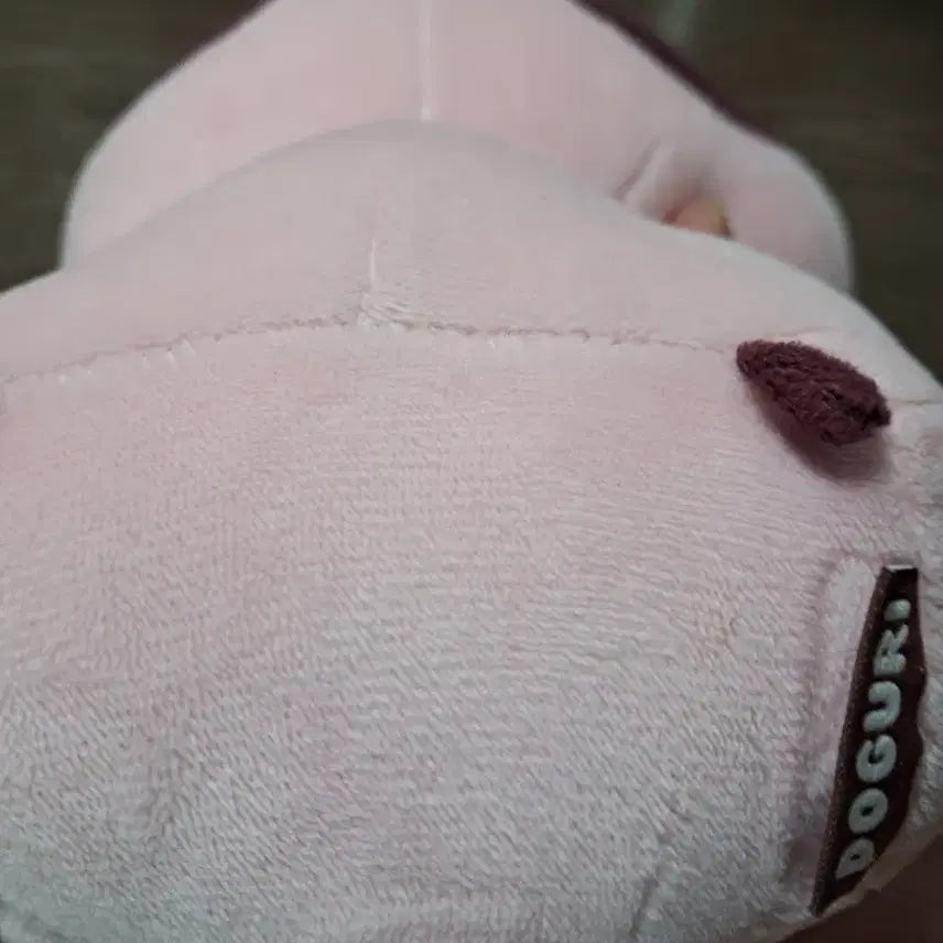 [BUNJANG] Doruguri Doll / 도구리 인형 팝니다.