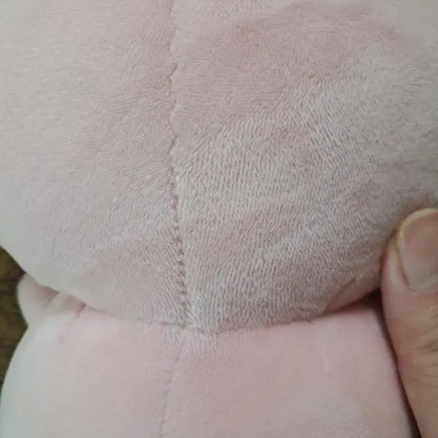 [BUNJANG] Doruguri Doll / 도구리 인형 팝니다.