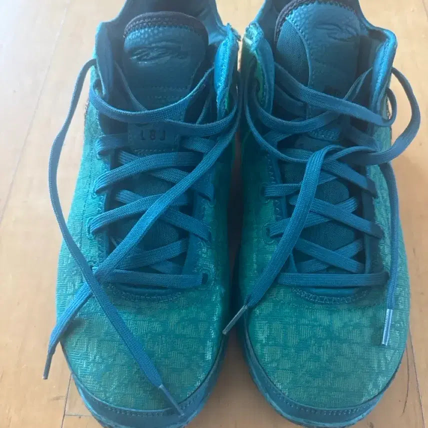 [BUNJANG] Nike LeBron Next Gen EP Basketball Shoes 280 / 나이키 르브론 넥스트젠 EP 농구화 280