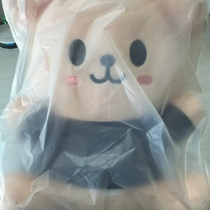 [BUNJANG] Stray Kids SKZOO Ski-Zoo Hug Me Plush / (원가양도)스트레이키즈 스키주 스키즈 팝업 허그미 퍼핌