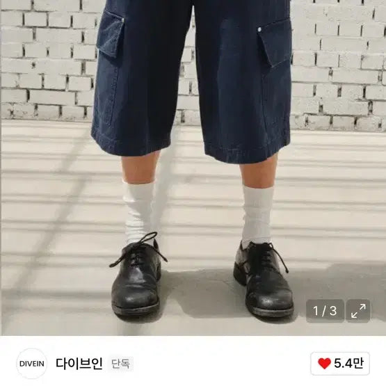 [BUNJANG] Dive In Jumbo Cargo Bermuda Shorts / 1 다이브인 점보카고 버뮤다 팬츠