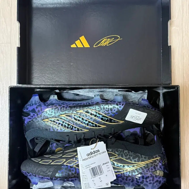 [BUNJANG] Adidas Predator Elite FG Kaka Soccer Cleats / 아디다스 프레데터 엘리트 FG 카카 280