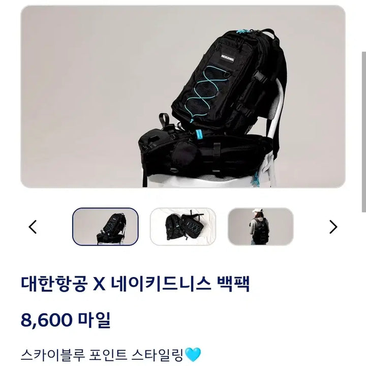 [BUNJANG] 대한항공 네이키드니스 백팩 / 대한항공 네이키드니스 백팩