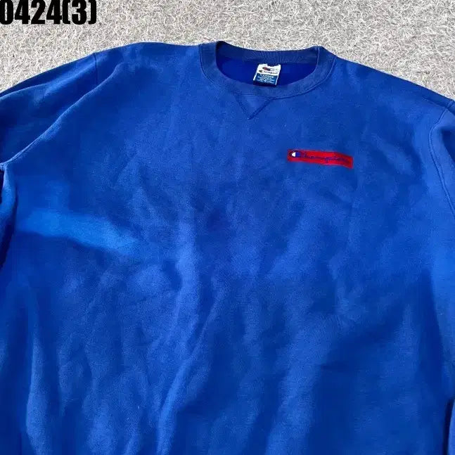 [BUNJANG] Champion Sweatshirt XL / 챔피온 맨투맨 XL