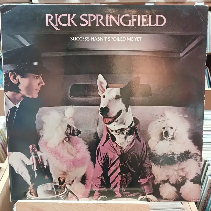 [BUNJANG] Rick Springfield Grammy Best Rock Vocal Performance LP / 그레미 최우수 록 보컬 릭 스프링필드 LP