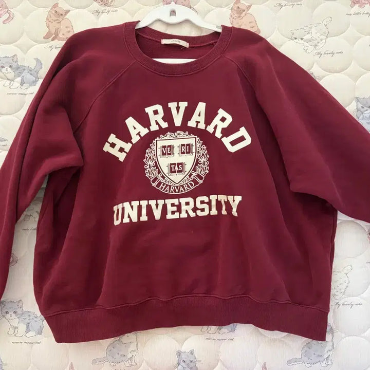 [BUNJANG] Vintage Burgundy Men&