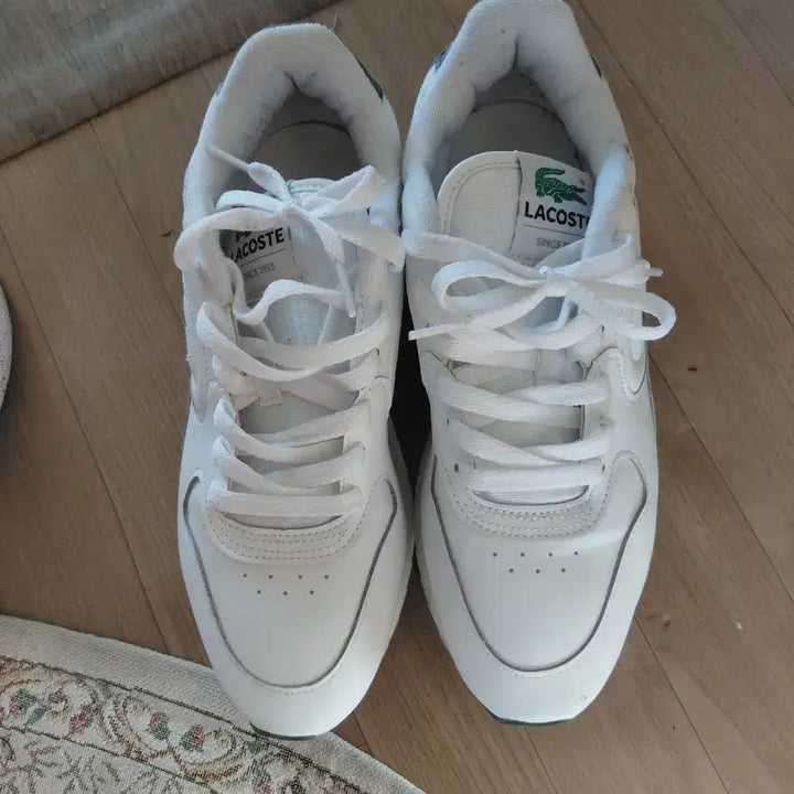 [BUNJANG] Lacoste Sneakers US8 / 라코스테신발usa8 uk7