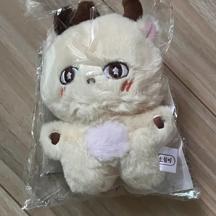 [BUNJANG] Park Jihoon Sosim Doll Keychain + Photocard / 박지훈 소심이 인형 키링 + 포카 (현물)