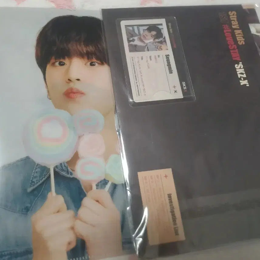 [SOLD OUT] Stray Kids 승민 SKZX 프로필 세트 일본 파일 일괄 양도ㅅㅊㅇ