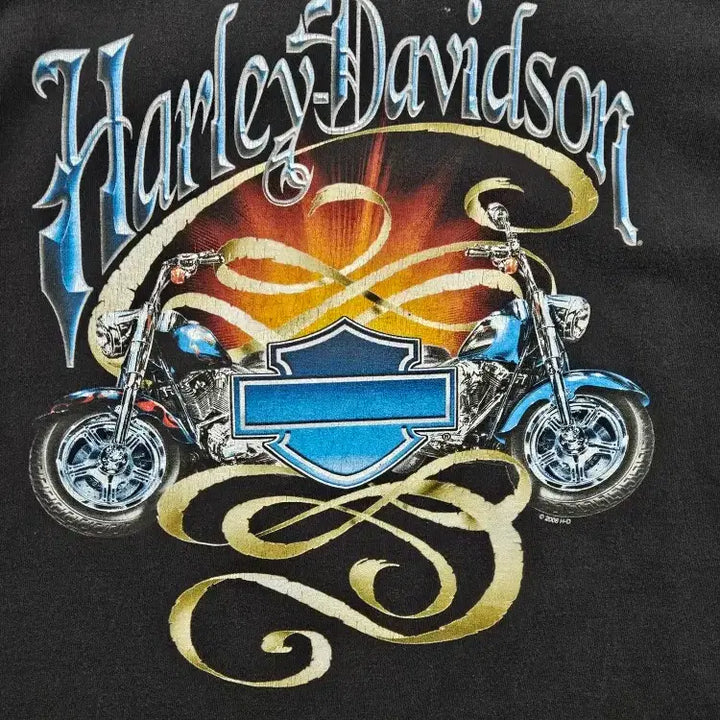 [BUNJANG] Harley Davidson Short Sleeve T-Shirt (L) / 할리데이비슨 반팔 티셔츠 ( L ) / 11970