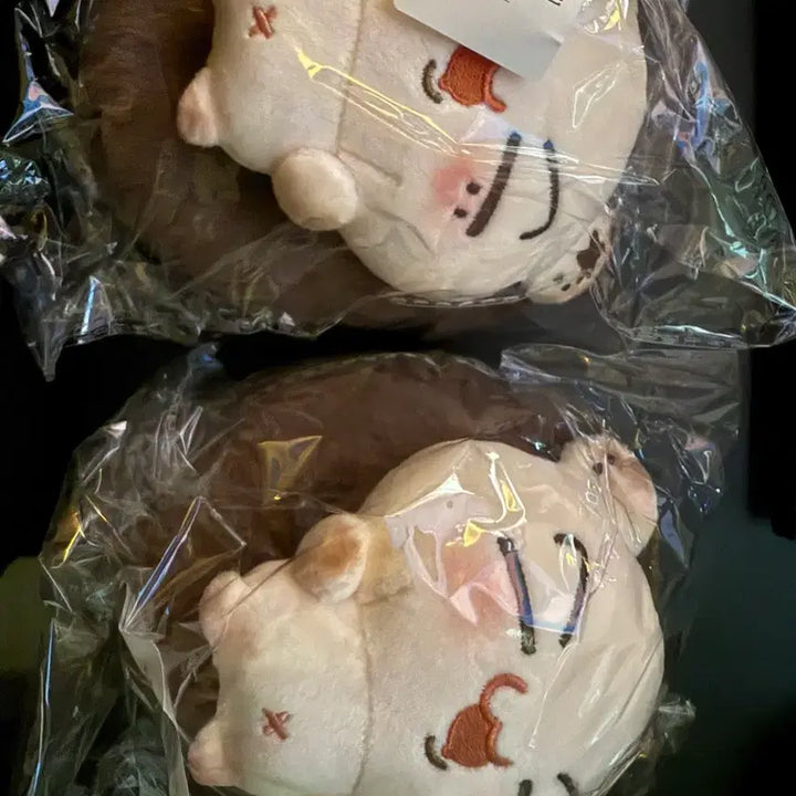 [BUNJANG] ENHYPEN Jay Doll / 쫑몽치 양도 엔하이픈 제이 인형 박종성 종성 원가양도