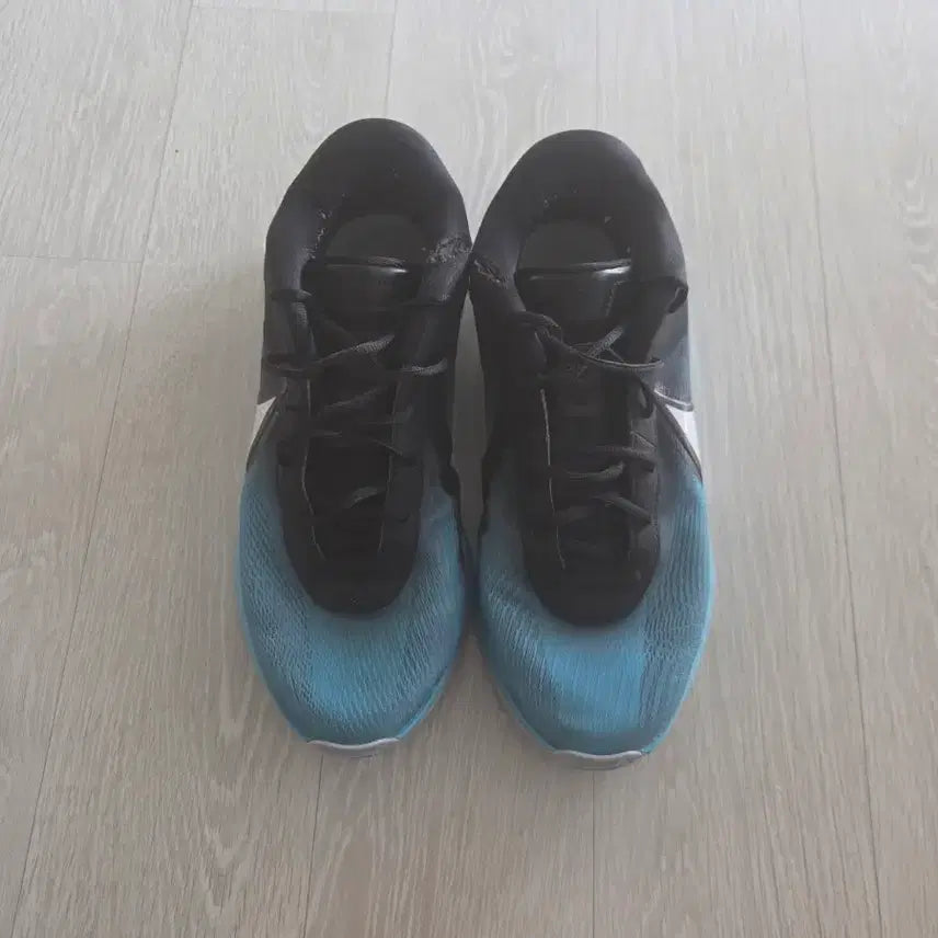 [BUNJANG] Nike Zoom Freak 6 Sneakers / 나이키 줌 프릭6 275