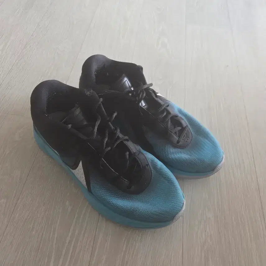 [BUNJANG] Nike Zoom Freak 6 Sneakers / 나이키 줌 프릭6 275