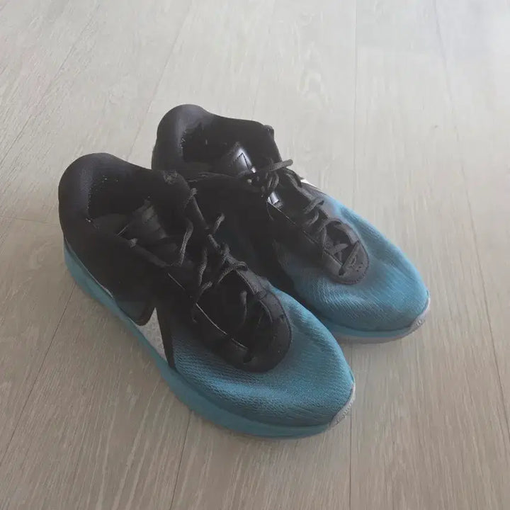 [BUNJANG] Nike Zoom Freak 6 Sneakers / 나이키 줌 프릭6 275