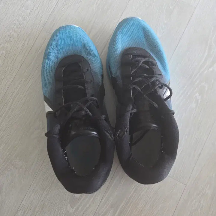 [BUNJANG] Nike Zoom Freak 6 Sneakers / 나이키 줌 프릭6 275