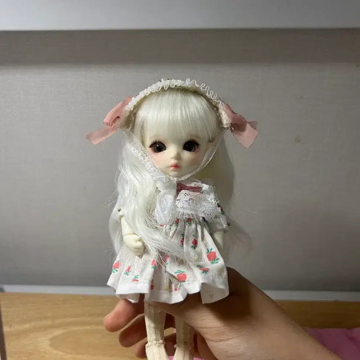 [SOLD OUT] 구체관절인형 포켓 판매 / 모든 물품 포함