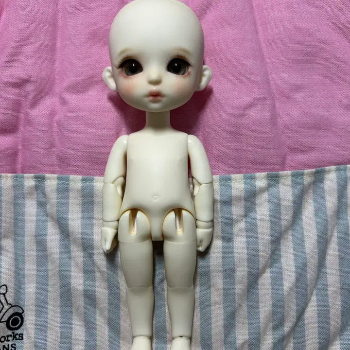 [SOLD OUT] 구체관절인형 포켓 판매 / 모든 물품 포함