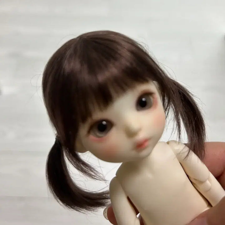 [SOLD OUT] 구체관절인형 포켓 판매 / 모든 물품 포함